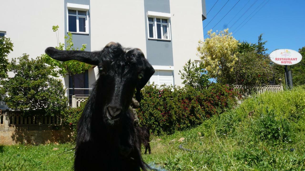 Delfin Otel Gazipasa Eksteriør bilde
